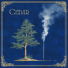 cedar incense sticks